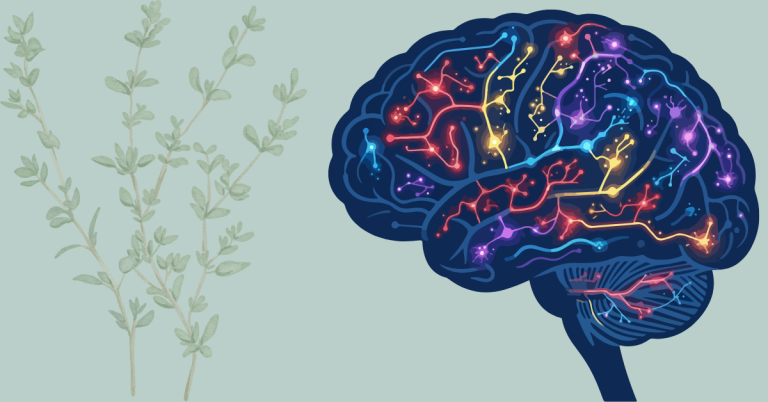 brain derived neurotrophic factor